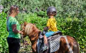 Ponyreiten für die kleinen Gäste
